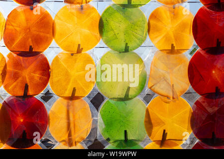 Lavashana sotto forma di cerchi multicolori Foto Stock