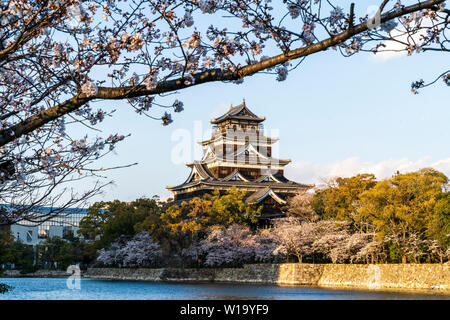 Il castello di Hiroshima, primavera. Cherry Blossoms oltre appeso sopra del telaio con il mantenere, Cherry Blossom pareti rivestite di honmaru e fossato al di sotto. Foto Stock