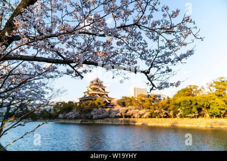 Il castello di Hiroshima, primavera. Cherry Blossoms oltre appeso sopra del telaio con il mantenere, Cherry Blossom pareti rivestite di honmaru e fossato al di sotto. Foto Stock