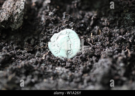 Denario di argento nel terreno Foto Stock