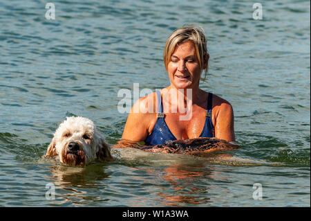 Baltimore, West Cork, Irlanda. 1 Luglio, 2019. Come temperature hit tardo teens su una bella giornata di sole, i turisti e la gente del posto ha avuto la possibilità di rinfrescarvi nell'acqua. Nella foto nel porto di Baltimora sono state Denise Lynch da Dublino con il suo cane Charlie. Credito: Andy Gibson/Alamy Live News. Foto Stock