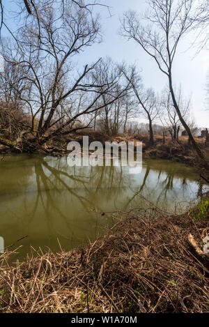 Meandro del fiume Odra con alberi di mirroring e cielo chiaro vicino Studenka città in CHKO Poodri nella Repubblica Ceca durante la prima giornata di primavera con cielo chiaro Foto Stock