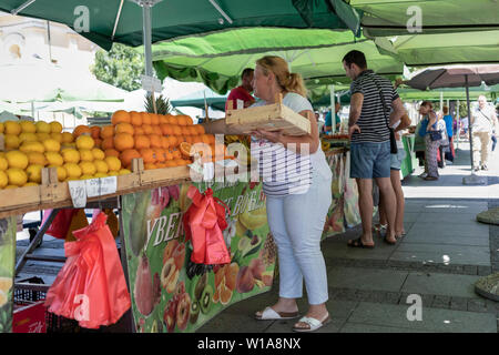 A Belgrado, in Serbia, 28 Giugno 2019: Donna arance di smistamento su il suo frutto in stallo a Zemun Mercato verde Foto Stock