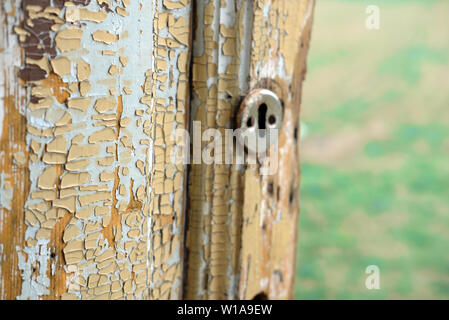 Vecchia porta di legno con incrinato vernice gialla e una toppa aperto a metà strada nel campo verde. Foto Stock