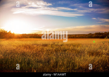 Bel tramonto e campo verde Foto Stock