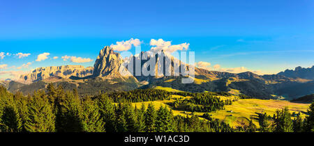 Alpe di Siusi o Alpe di Siusi, Alpi Dolomitiche del Sassolungo e Sassopiatto montagne, Trentino Alto Adige Sud Tirolo, Italia, Europa Foto Stock