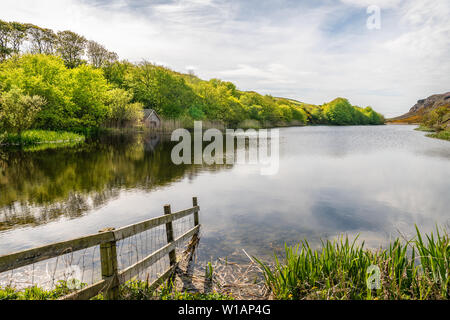 Fango Loch, St Abbs Head, Scozia Foto Stock