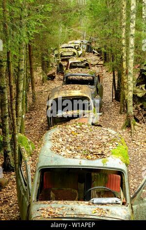 I rottami di automobili in una fila nella foresta, rottami di automobile, cantiere Bastnas, Varmland, Svezia Foto Stock