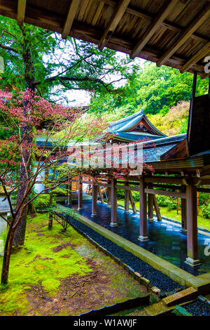 Giardino e architettura presso il Tempio di Ryoanji, Kyoto, Giappone Foto Stock