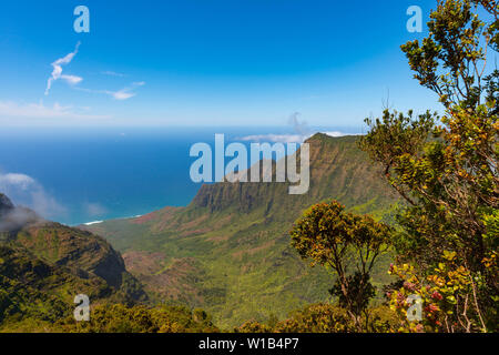 Vista dalla Pu'u'O Kila lookout giù sul Kalalau valle sulla costa di Na Pali sull'isola hawaiana di Kauai. Foto Stock