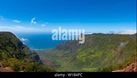 Vista dalla Pu'u'O Kila lookout giù sul Kalalau valle sulla costa di Na Pali sull'isola hawaiana di Kauai. Foto Stock