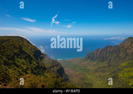 Vista dalla Pu'u'O Kila lookout giù sul Kalalau valle sulla costa di Na Pali sull'isola hawaiana di Kauai. Foto Stock