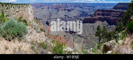 Alta risoluzione panorama dal bordo Sud nella mattinata estiva, il Parco Nazionale del Grand Canyon, Arizona, Stati Uniti d'America Foto Stock