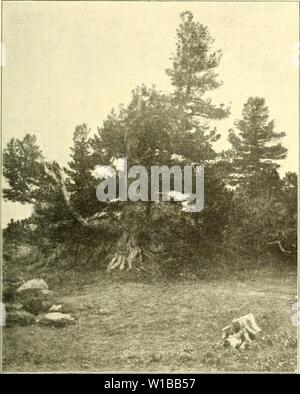 Immagine di archivio da pagina 358 di morire Arve in der Schweiz Foto Stock