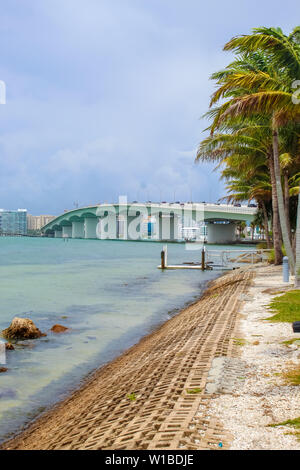 John Ringling ponte dalla chiave di uccelli parcheggio auto subito dopo una tempesta - Sarasota, Florida - Giugno 9, 2019 Foto Stock