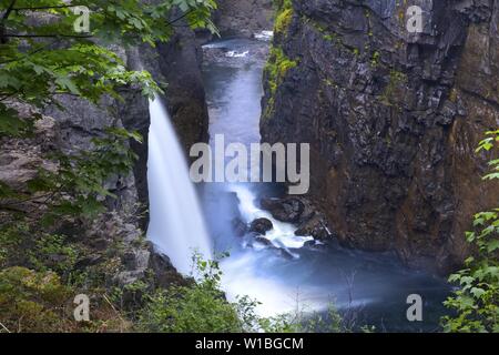 Paesaggio panoramico vista della cascata alta del flusso di acqua che scorre in cascata al Rock Canyon in Elk Falls provinciale Parco Natura sull'Isola di Vancouver Foto Stock