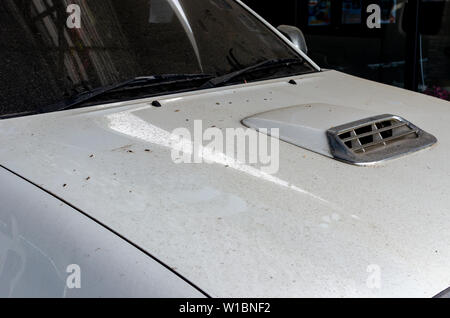 Impurità sulla superficie della vettura. Foto Stock