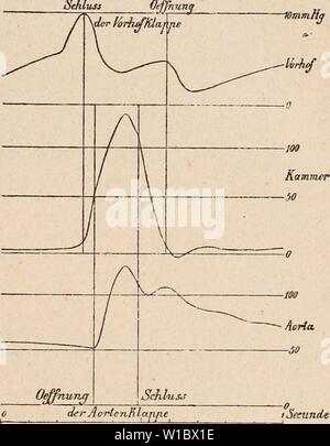 Immagine di archivio da pagina 468 di Dictionnaire de physiologie (1897). Dictionnaire de physiologie . dictionnairedeph02ricco anno: 1897 CARDIOGRAPHE. 59 SchU 3i3, 1892) un publiÃ une sÃrie de tracÃs recueillis au moyen de l'appareil de HCrthle, et rappelant les 'raphiques de HÃ"rthle et de Rolleston. FranÃ§ois Franck {A. de P., 1891, 765), E. Gley (A. de P., 1891, 734; B., 1894, 445), E. Meyer {sonda cardiographique pour la pression intra-ventriculaire chez lechiev, B., 1894, 443. Cardiographie chez le chien. A. de P., 1894, 692) ont dÃcrit des sondes cardiographiques applicabili au cÅur du c
