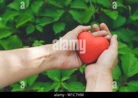 Il rapporto e l'amore concetto - close up di womans mani cuore rosso su sfondo verde. Giorno del donatore Foto Stock