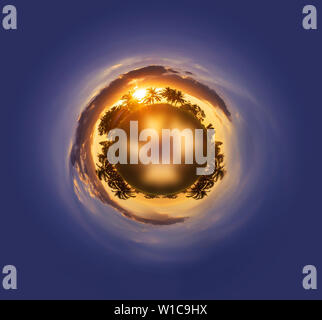 Cerchio astratto del tramonto albero di ombre e cielo Foto Stock
