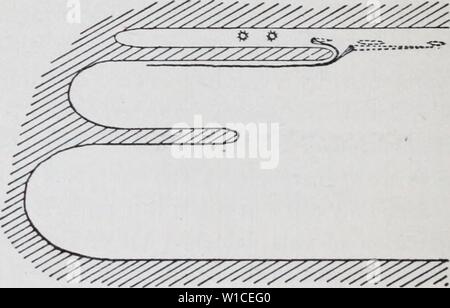 Immagine di archivio da pagina 61 dello sviluppo del mesonephras. Lo sviluppo del mesonephras e il condotto Müllerian in Amphibia . developmentofmes00hall Anno: 1904 J M Foto Stock