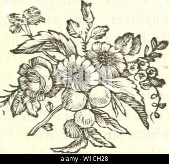 Immagine di archivio da pagina 648 di Dictionnaire des jardiniers, contenant les Foto Stock