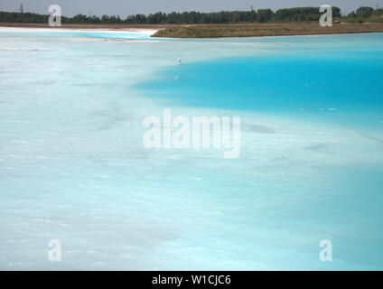 Lago Blu circondato dalla foresta di conifere. La Siberia, Russia Foto Stock