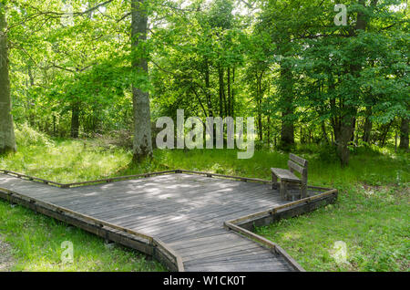 Banco da parte un sentiero in legno con una piattaforma di legno nella riserva naturale Halltorps Hage all'isola svedese Oland Foto Stock