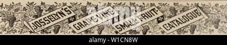 Immagine di archivio da pagina 7 del catalogo descrittivo e listino prezzi. Catalogo descrittivo e listino prezzi : di American i vitigni, piccole piante da frutto, ecc. . Descriptivecatal1895geo Anno: 1895 Elenco descrittivo. In questa lista che ho cercato di fornire una breve descrizione derivanti da estese observa- zioni che si riveleranno di qualche valore per patroni. Per lodare un uva e insistono sul fatto che si è appena circa l'uva per i clienti a investire in perché riesce nella propria vigna o di condannare per ragioni la posizione REVERSE solo dimostrare incapacità o non volontà di vedere oltre il proprio giardino fe Foto Stock