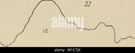Immagine di archivio da pagina 753 di Dictionnaire de physiologie (1900). Dictionnaire de physiologie . dictionnairedeph04ricco anno: 1900 lU deglutizione. Quand le ballon Ãtait situÃ plus haut dans le canal, la contrazione suivait l'ÃlÃvation ini- tiale de plus prÃ¨s ; le contraire se produisait si l'on examinait les parti infÃrieures; cela prouve bien que la contrazione consÃcutive se propageait de haut en bas; elle offre à tous les punti de vue les caractÃ¨res d'onu mouvement normale. On peut constater le mÃªme phÃnomÃ¨ne chez des chiens dont l'Åsophage un ÃtÃ prÃa- lablement mis Ã nu. Quand, par d Foto Stock