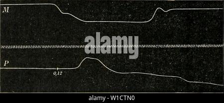 Immagine di archivio da pagina 757 di Dictionnaire de physiologie (1900). Dictionnaire de physiologie . dictionnairedeph04ricco anno: 1900 7i8 deglutizione. deux trijumeaux et trouvÃ¨affitto que cette rÃgion si ragionevole complÃ perdait¨tement propriÃtÃs ses. Wassilieff trouva plus semplice sectionner de la moelle au-dessus du centre respiratoire, et paralysa ainsi le rÃilexe de la dÃglutition. Quant aux autres parti muqueuses, dont Walleb et PrÃvost disaient : Â" Elles agissent sÃ"rement, mais se fatiguent rapidement Â" (Les Bords de TÃpiglotte, la muqueuse des di cartilagini de Santorini), Wassilieff considÃ Foto Stock