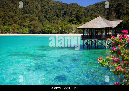 Coral reef isola. Pontile in legno con fiori esotici e villa d'acqua. Vacanze estive sul resort tropicale. Viaggi di lusso. Diving e snorkeling paradise Foto Stock