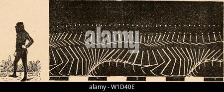 Immagine di archivio da pagina 880 del Dictionnaire de physiologie (1907). Dictionnaire de physiologie . dictionnairedeph07ricco anno: 1907 GRAPHIQUE (MÃthode). 867 si pour une mÃªme vitesse le mobile onu occupe grand espace, quand il s'agit par esempio de l'homme ou du Cheval, il devient impossibile, sans certuni appareils, d'en inuUiplicr beaucoup les immagini, vu leur confusione provenant de leur sovrapposizione. V. Chronophotographie gÃomÃtrique. Â Il est rarement indispensabile reproduire de toutes les parti d'onu sujet pour Ãªtre renseignÃ sur son mouvement. Ainsi, chez l'homme et la plupart des anima Foto Stock