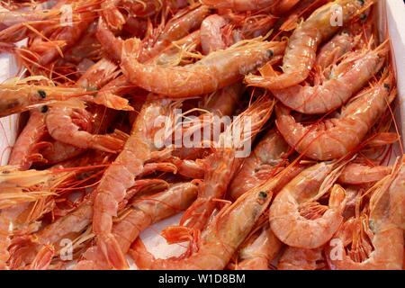 Comunale centrale mercato di Atene Foto Stock