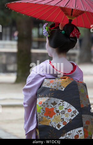 Una maiko e geisha sparare al tempio Manpakuji, Kyoto Foto Stock