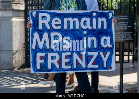 Londra, Regno Unito. Il 2 luglio 2019. Brexit banner di protesta al di fuori del Parlamento Credit Ian Davidson/Alamy Live News Foto Stock