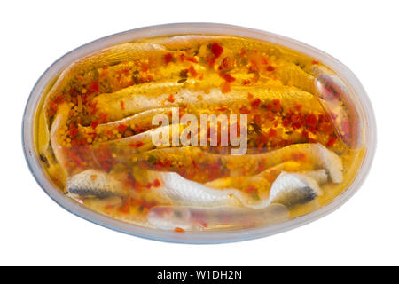 Conserve di sardine marinate con spezie in contenitore di plastica. Isolato su sfondo bianco Foto Stock