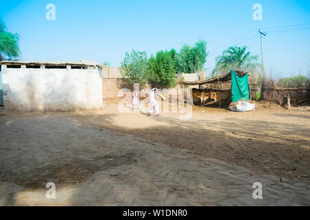 Rahimyar khan,punjab,pakistan-luglio 1,2019:alcuni ragazzi locali a giocare a cricket in un villaggio,battitore lasciando un bounser. Foto Stock