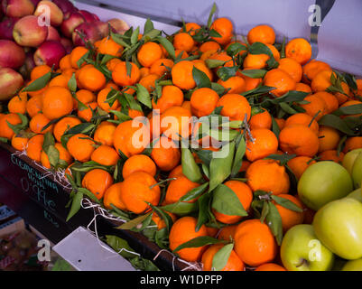 Immagine della frutta fresca di stagione sul contatore nel mercato alimentare, nessun popolo Foto Stock