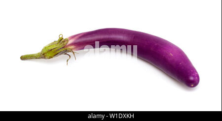 Lungo viola pallido egglant asiatici isolato su bianco Foto Stock