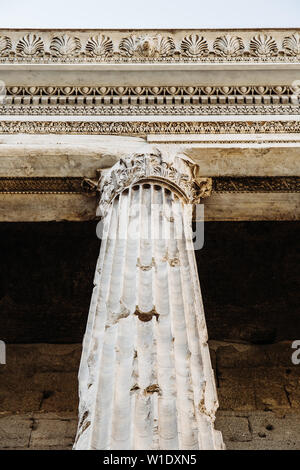Dettaglio della trabeazione e le colonne del Tempio di Adriano a Roma, in Italia. Foto Stock
