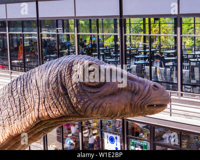 PATTAYA, Tailandia - 2 gennaio 2019: Apatosaurus davanti al ristorante di dinosauri in Nong Nooch Tropicale Giardino Botanico. Foto Stock