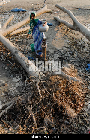 Il Bangladesh, il ciclone Sidr e alta marea distruggono villaggi in Southkhali nel distretto Bagerhat , donna prendere l'acqua dal pozzo accanto upooted alberi / BANGLADESCH, der Zyklon Wirbelsturm Sidr und eine Sturmflut zerstoeren Doerfer Kuestengebiet im von Southkhali Foto Stock