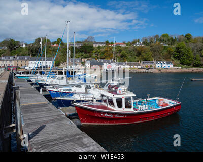 Barche in sole primaverile al porto a Avoch sulla Black Isle, regione delle Highlands, Scozia Foto Stock