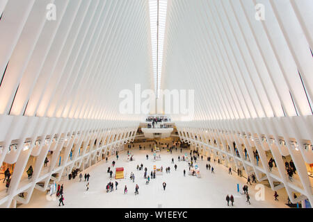 Occhio, World Trade Center Hub di trasporto, dal Quartiere Finanziario di Manhattan, New York, New York, Stati Uniti d'America, America del Nord Foto Stock