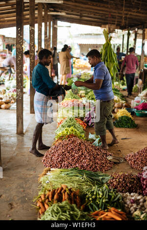 Mercato di Jaffna, Jaffna provincia settentrionale, Sri Lanka, Asia Foto Stock