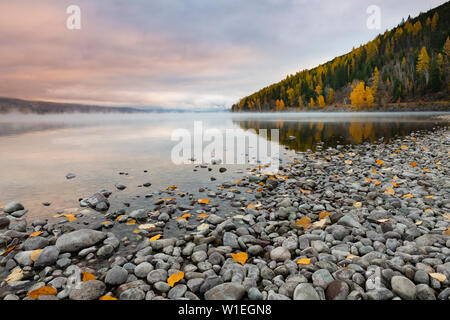 Sunrise sulla riva del lago di McDonald, il Parco Nazionale di Glacier, Montana, Stati Uniti d'America, America del Nord Foto Stock