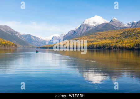 I colori autunnali a Bowman Lake, il Parco Nazionale di Glacier, Montana, Stati Uniti d'America, America del Nord Foto Stock