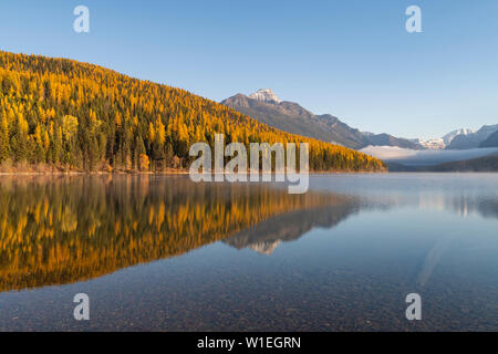 Bowman Lake, il Parco Nazionale di Glacier, Montana, Stati Uniti d'America, America del Nord Foto Stock