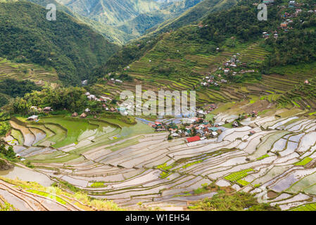 Batad, Sito Patrimonio Mondiale dell'UNESCO, Luzon, Filippine, Sud-est asiatico, in Asia Foto Stock